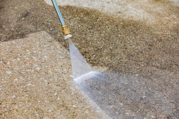 Best Sidewalk and Walkway Cleaning  in Kissimmee, FL